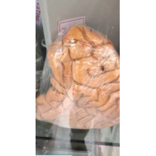 Human Anatomical Models